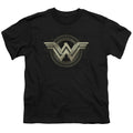 Batman v Superman Ancient Emblems Youth/Toddler T-Shirt