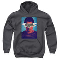 Batman v Superman Superman Poster Youth Hoodie