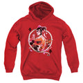 Batman Harley Q Youth Hoodie
