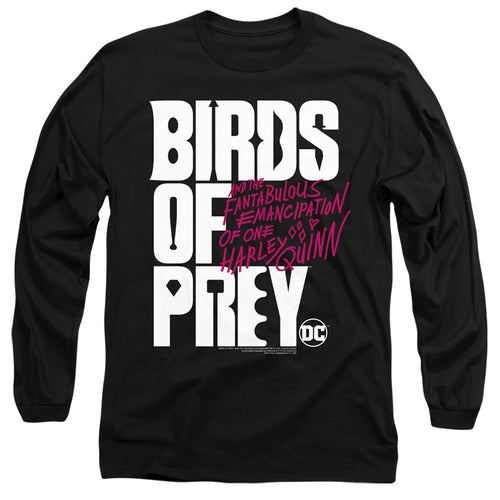 Birds of Prey Birds Of Prey Logo Long Sleeve T-Shirt