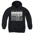 Friends Lunch Break Youth Hoodie