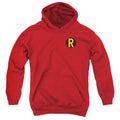 DC Comics Robin Logo Youth Hoodie