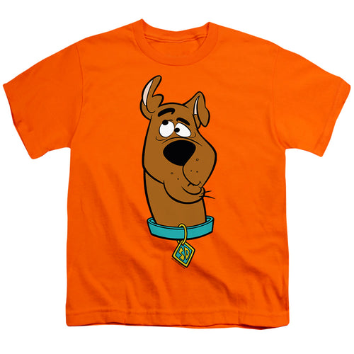 Scooby-Doo Confused Orange Youth/Toddler T-Shirt