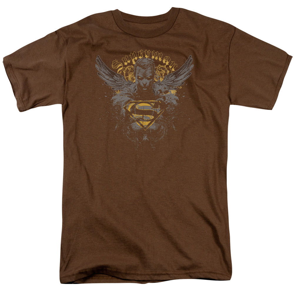 Superman Stand Your Ground T-Shirt