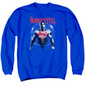 Batman v Superman Super Spray Crewneck Sweatshirt
