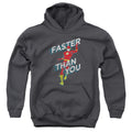 The Flash Faster Than You Youth Hoodie