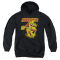 DC Comics Firestorm Youth Hoodie
