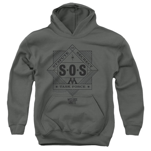 Harry Potter: Wizards Unite Sos Task Force Youth Hoodie