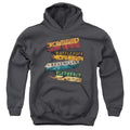 Harry Potter Burnt Banners Youth Hoodie