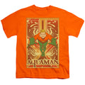 DC Comics Aquaman Youth/Toddler T-Shirt
