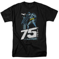 Batman Rooftop T-Shirt