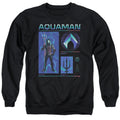 Aquaman Aquaman Stats Crewneck Sweatshirt