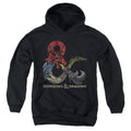 Dungeons & Dragons Dragons in Dragons Youth Hoodie