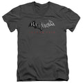 Batman Logo V-Neck T-Shirt