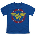 DC Comics Wonder Woman Circle Logo Long Sleeve T-Shirt