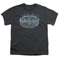 Batman Dark Knight Steel Shield Youth/Toddler T-Shirt