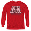 Justice League League Distressed Youth Long Sleeve T-Shirt