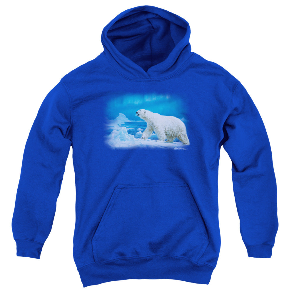 Wild Wings Nomad of the North Polar Bear Youth Hoodie