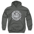 Teenage Mutant Ninja Turtles Rebels Distressed Logo Youth Hoodie