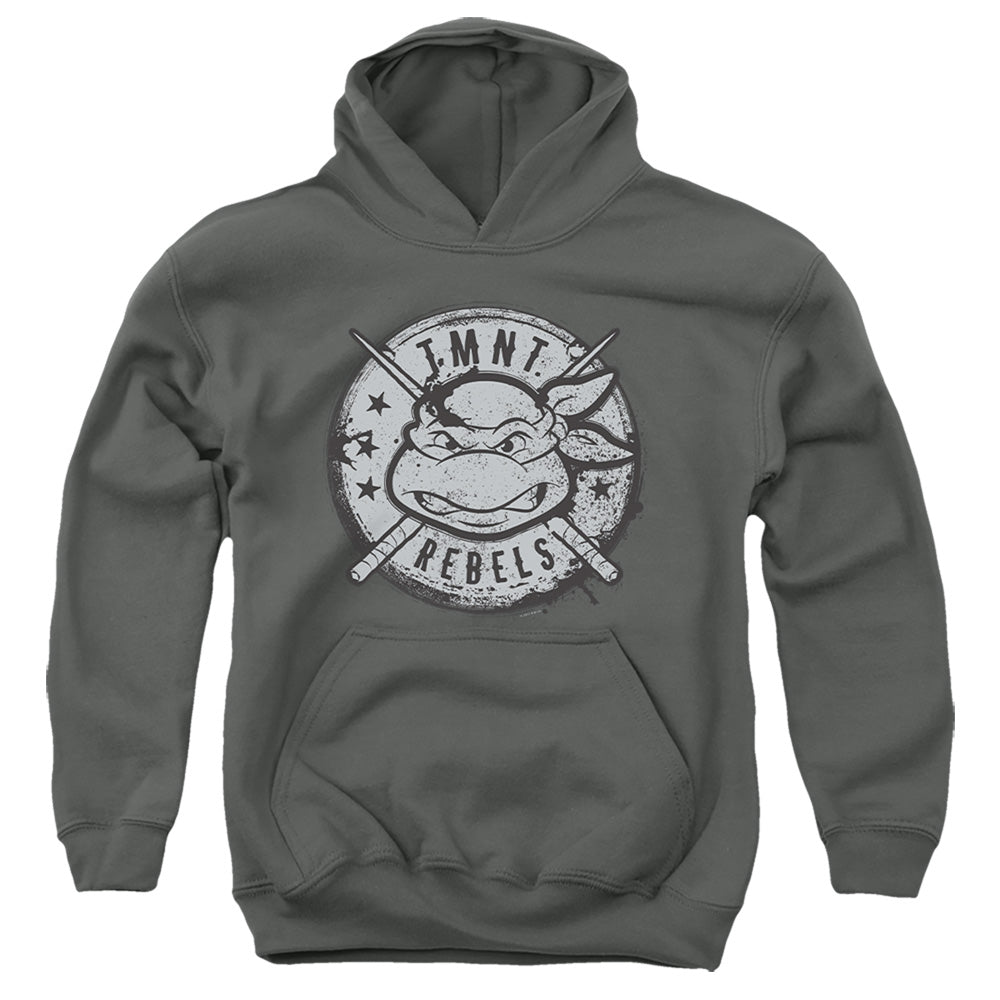 Teenage Mutant Ninja Turtles Rebels Distressed Logo Youth Hoodie