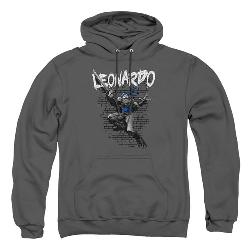 Teenage Mutant Ninja Turtles Leonardo Pullover Hoodie
