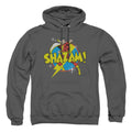 DC Comics Power Bolt Pullover Hoodie