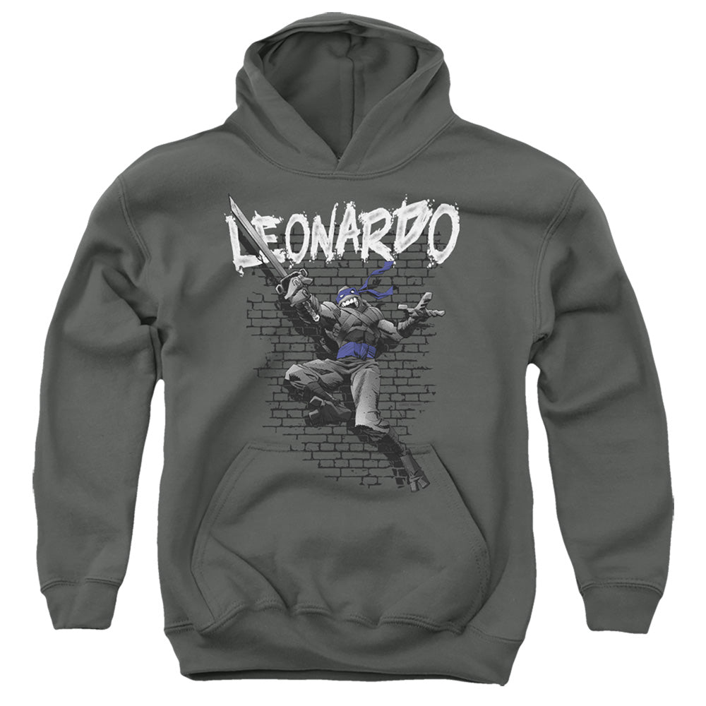 Teenage Mutant Ninja Turtles Leonardo Youth Hoodie