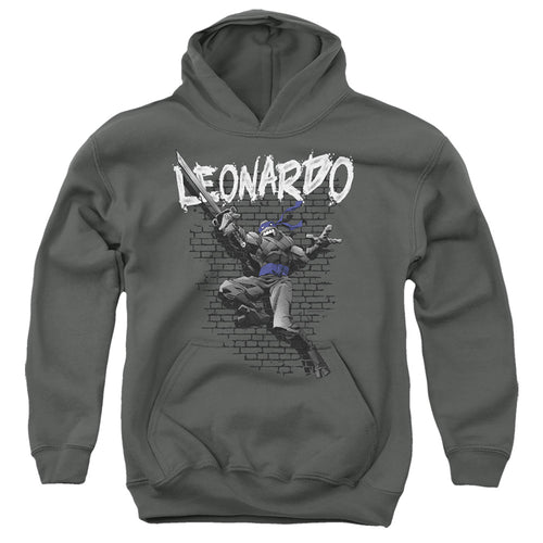 Teenage Mutant Ninja Turtles Leonardo Youth Hoodie