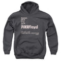 Pink Floyd Arnold Layne Youth Hoodie