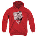 Superman Identity Youth Hoodie
