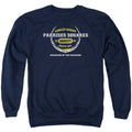 Star Trek Starfleet Academy Parrises Squares Varsity Crewneck Sweatshirt