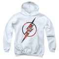 DC Comics Flash Icon 2 Youth Hoodie