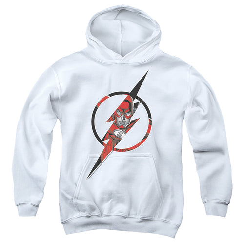 DC Comics Flash Icon 2 Youth Hoodie