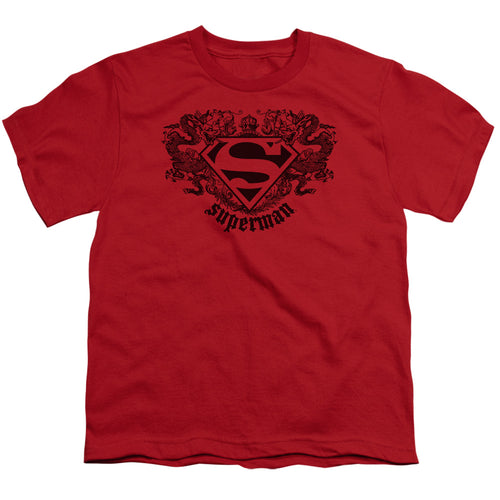 Superman Dragon Youth/Toddler T-Shirt