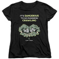 Dungeons & Dragons Dangerous to Go Alone Womens T-Shirt