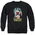DC Comics City Warrior Crewneck Sweatshirt