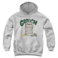 Sesame Street Grouch Youth Hoodie