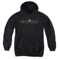 Hogwarts Legacy Logo Youth Hoodie