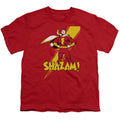 DC Comics Shazam Youth/Toddler T-Shirt