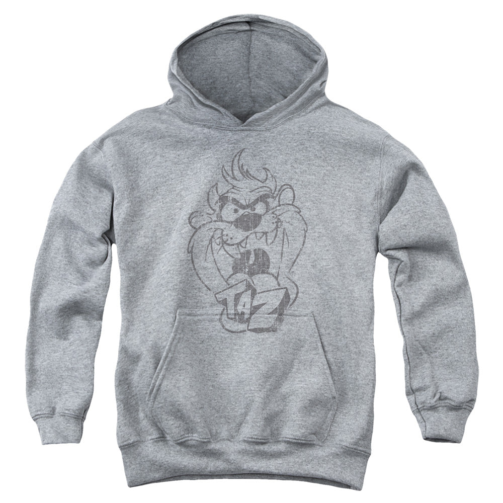 Looney Tunes Faded Taz Youth Hoodie
