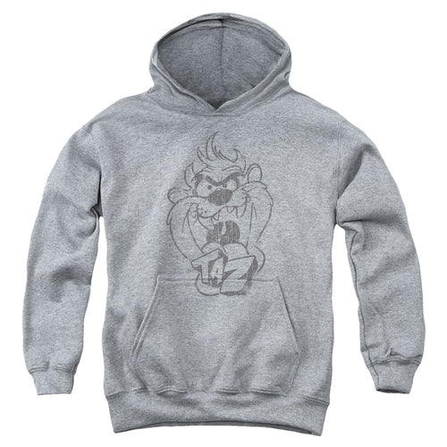 Looney Tunes Faded Taz Youth Hoodie