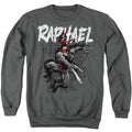 Teenage Mutant Ninja Turtles Raphael Crewneck Sweatshirt
