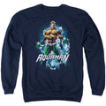 Justice League Water Powers Crewneck Sweatshirt