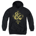 Dungeons & Dragons Year of the Dragon Gold Logo Youth Hoodie