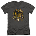 Black Adam Black Adam Justice Society V-Neck T-Shirt