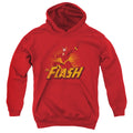 Justice League Flash Rough Distress Youth Hoodie