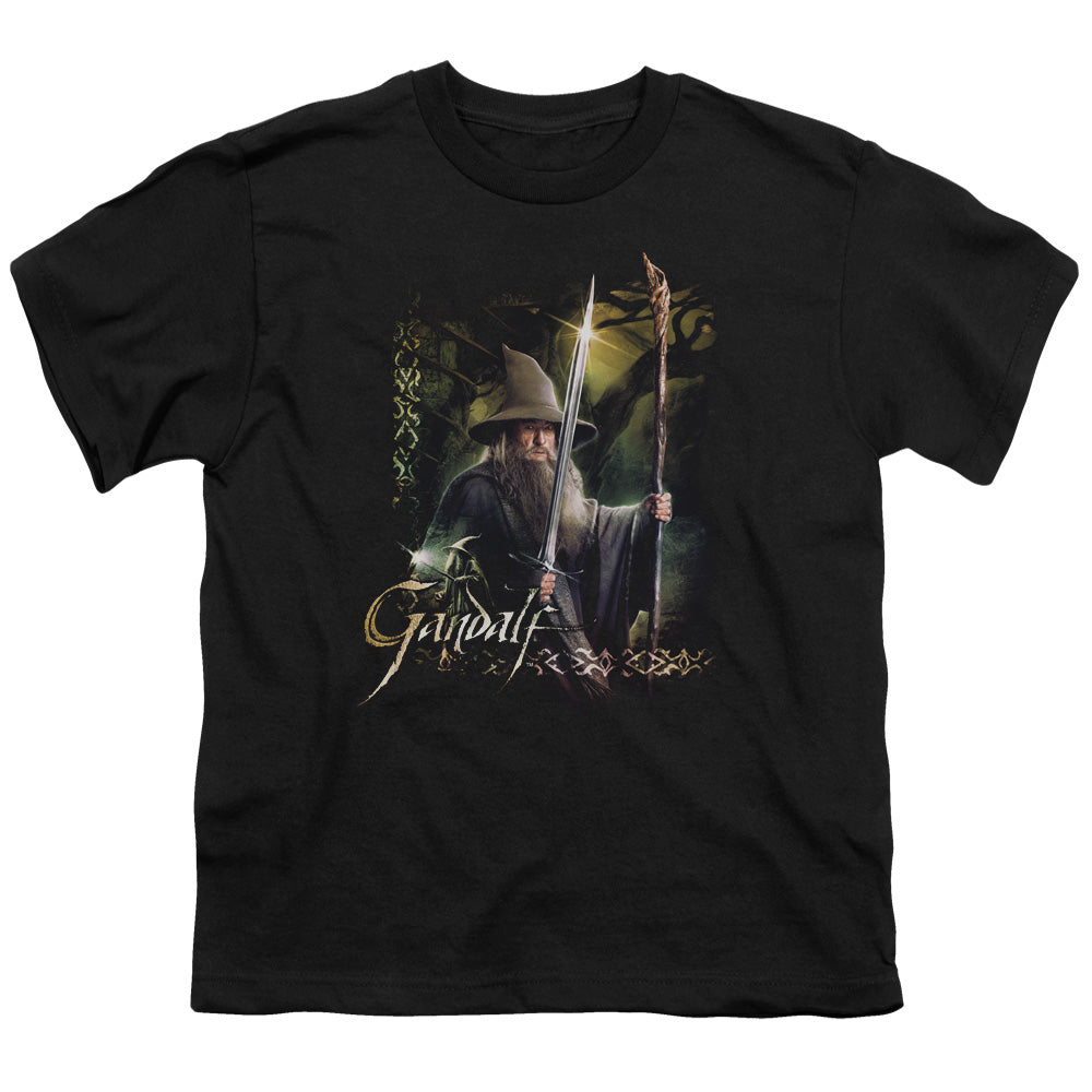 The Hobbit Sword and Staff Youth/Toddler T-Shirt