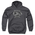 Batman Crusade Youth Hoodie