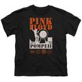 Pink Floyd Pompeii Youth/Toddler T-Shirt