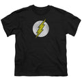 The Flash Flash Logo Distressed Youth/Toddler T-Shirt